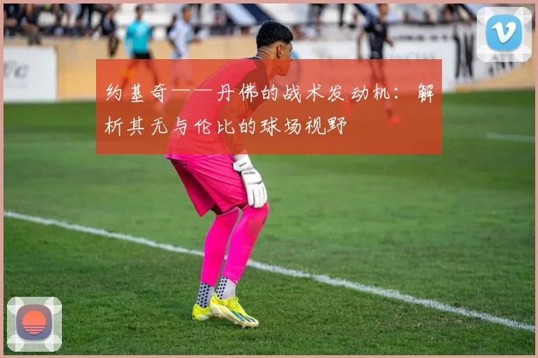 约基奇——丹佛的战术发动机：解析其无与伦比的球场视野