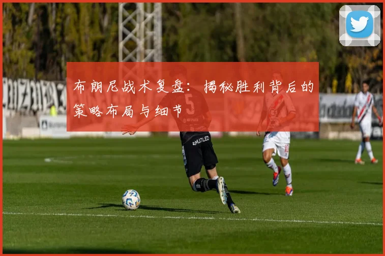 布朗尼战术复盘：揭秘胜利背后的策略布局与细节