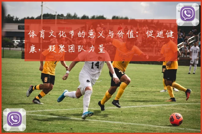 体育文化节的意义与价值：促进健康，凝聚团队力量