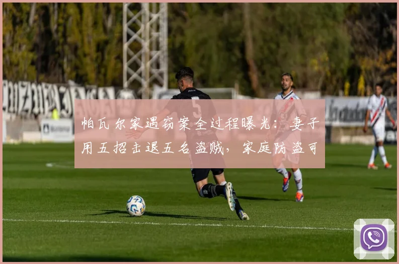 帕瓦尔家遇窃案全过程曝光：妻子用五招击退五名盗贼，家庭防盗可借鉴